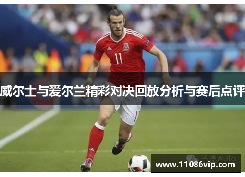 威尔士与爱尔兰精彩对决回放分析与赛后点评
